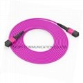 Fiber Optic MPO MTP Trunk Cable SM MM OM3 OM4 OM5 3