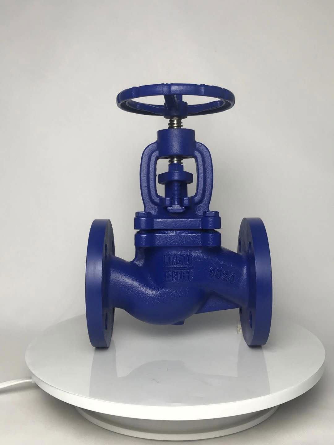 globe valve 2