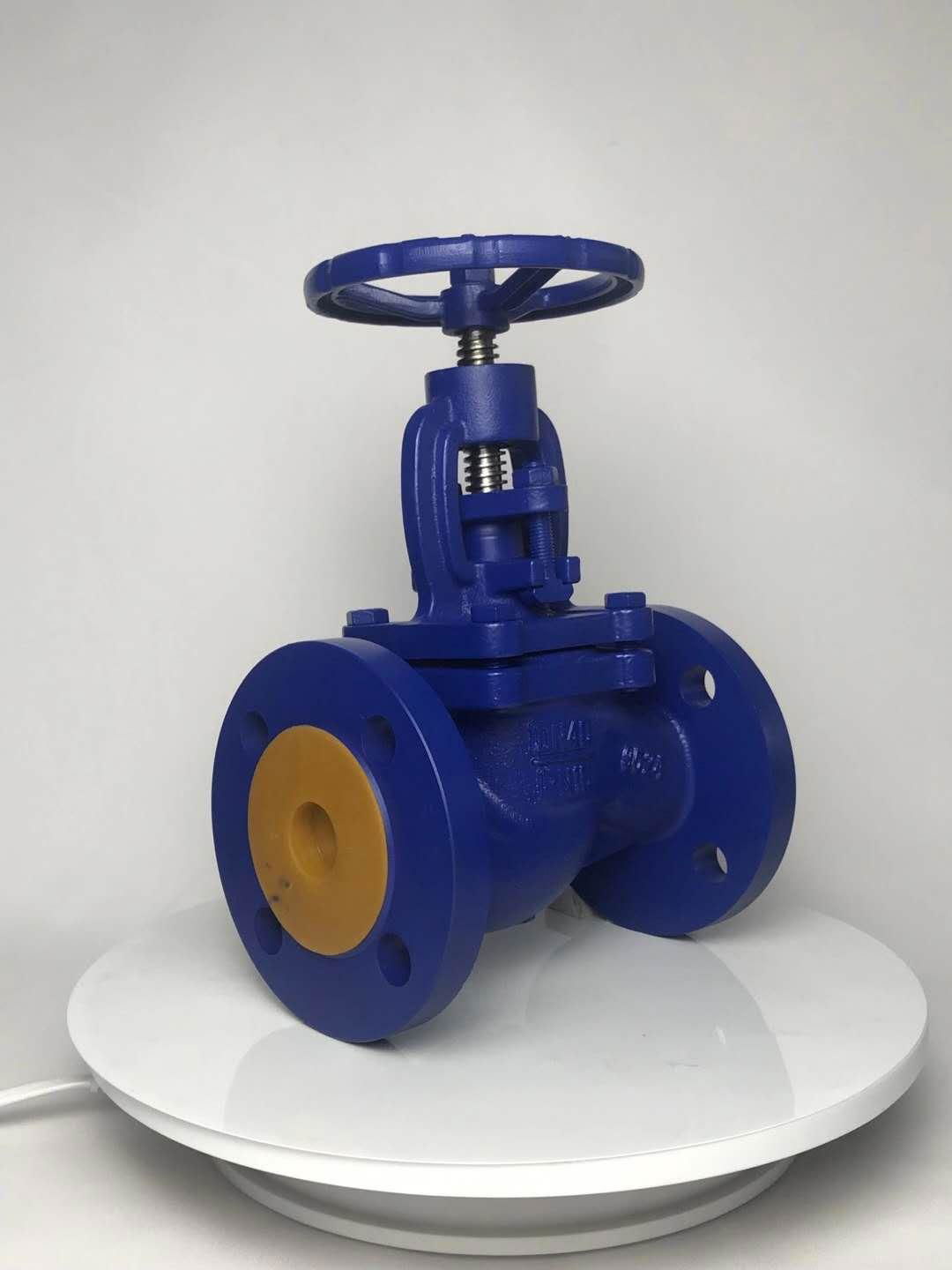 globe valve 4