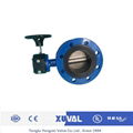 butterfly valve 5