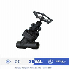 globe valve