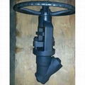 globe valve 5