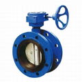 butterfly valve 3