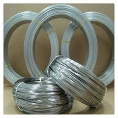 Stainless Steel Wire