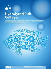 Hydrolyzed Fish Collagen