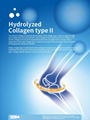 Hydrolyzed Collagen Type II 1