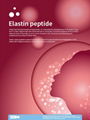 Elastin Peptide treatments to smooth