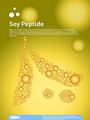 High Quality SEMNL soy peptide