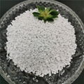 formula potassium sulphate granular  2