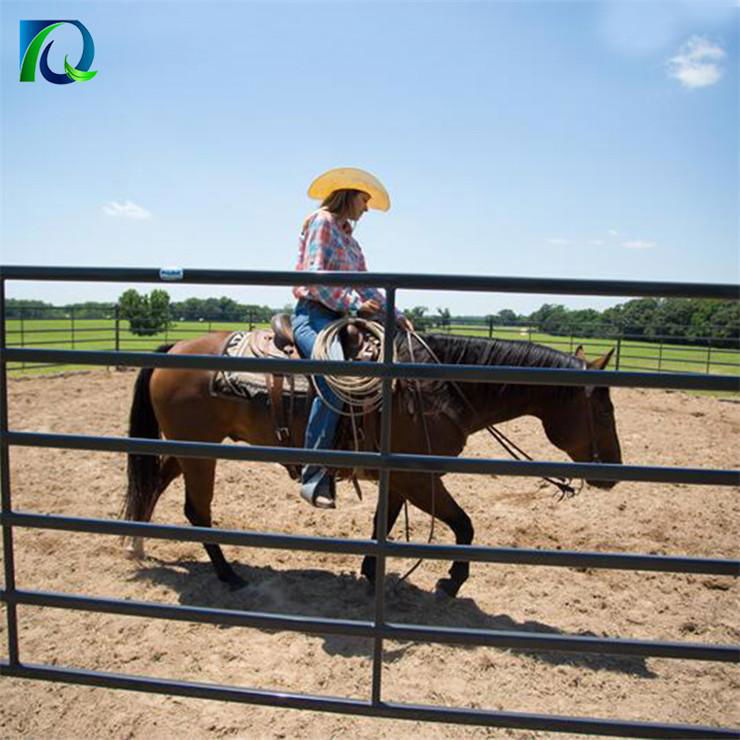 High Quality Sheep Cattle Yard Panels Livestock Fence 3