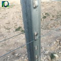 Metal Vineyard Grape Trellis Post 1