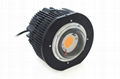 Cree 100w 200w Cob Led Grow Lights With