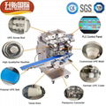 SY-800 Frozen full automatic fish ball