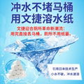 文捷溶水衛生紙水溶紙可溶水卷紙融水卷筒紙廁紙巾4層無芯800g4提 4