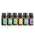 OEM ODM In Stock 10ML 100% Pure 6 Premium Therapeutic Grade Diffuser Aroma Essen 1