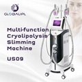 Multi-function Cryotherapy Slimming