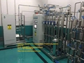 500L-H Double RO Purified Water System