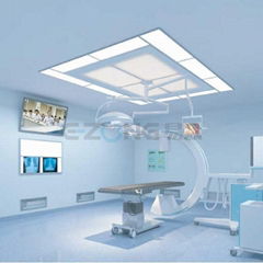 Hospital Air ceiling