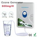 Portable Active Ozone Generator