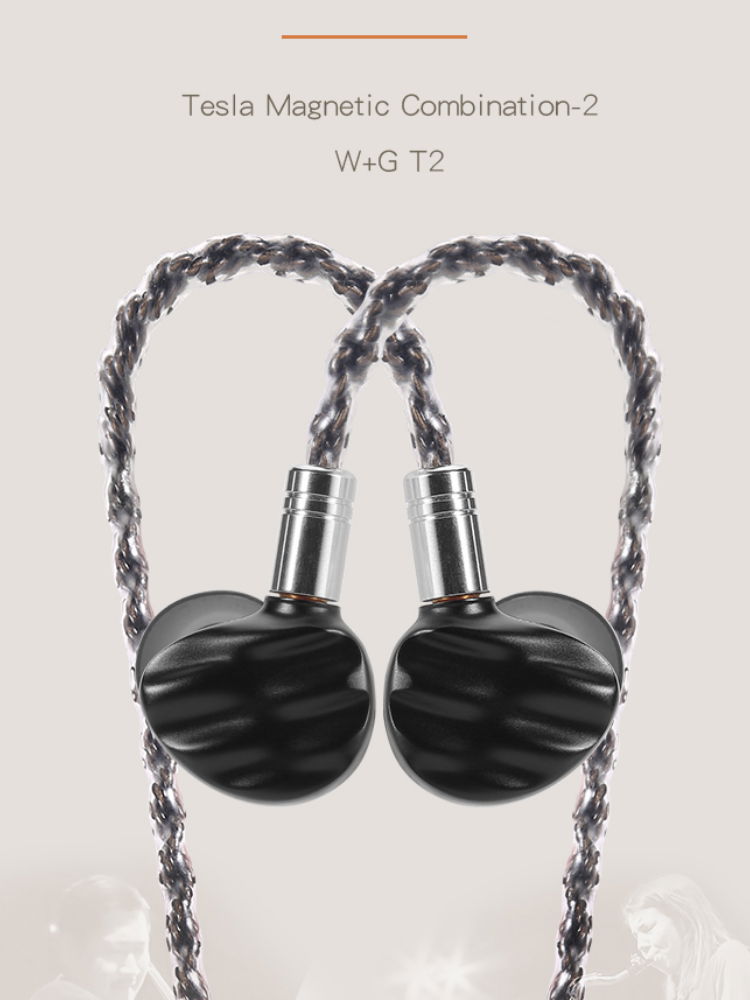 W+G T2 earphone