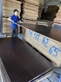 Film faced plywood for construction from Vietnam factory 3