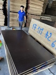 Film faced plywood for construction from Vietnam factory