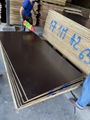 Film faced plywood for construction from Vietnam factory 4