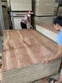 Commercial Plywood for making sofa to Malaysia market 3