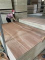 Commercial Plywood for making sofa to Malaysia market 1