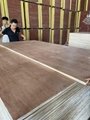 Packing plywood AB grade Packing plywood from 2mm   2