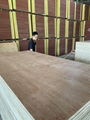 Packing plywood AB grade Packing plywood from 2mm   3