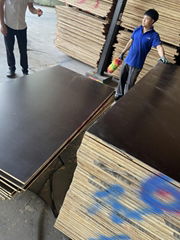 Construction Grade Waterproof Sheet 18mm Film Faced Plywood