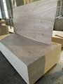 Commercial Plywood from Vietnam  5