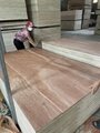 18mm plywood sheet/ commercial plywood 3