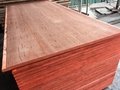 IICL Standard 28mm Shipping Container Flooring Plywood 1