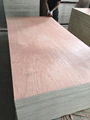 Plywood for Packing 2.5mmmm AB Grade from from Vietnam to Malaysia  1