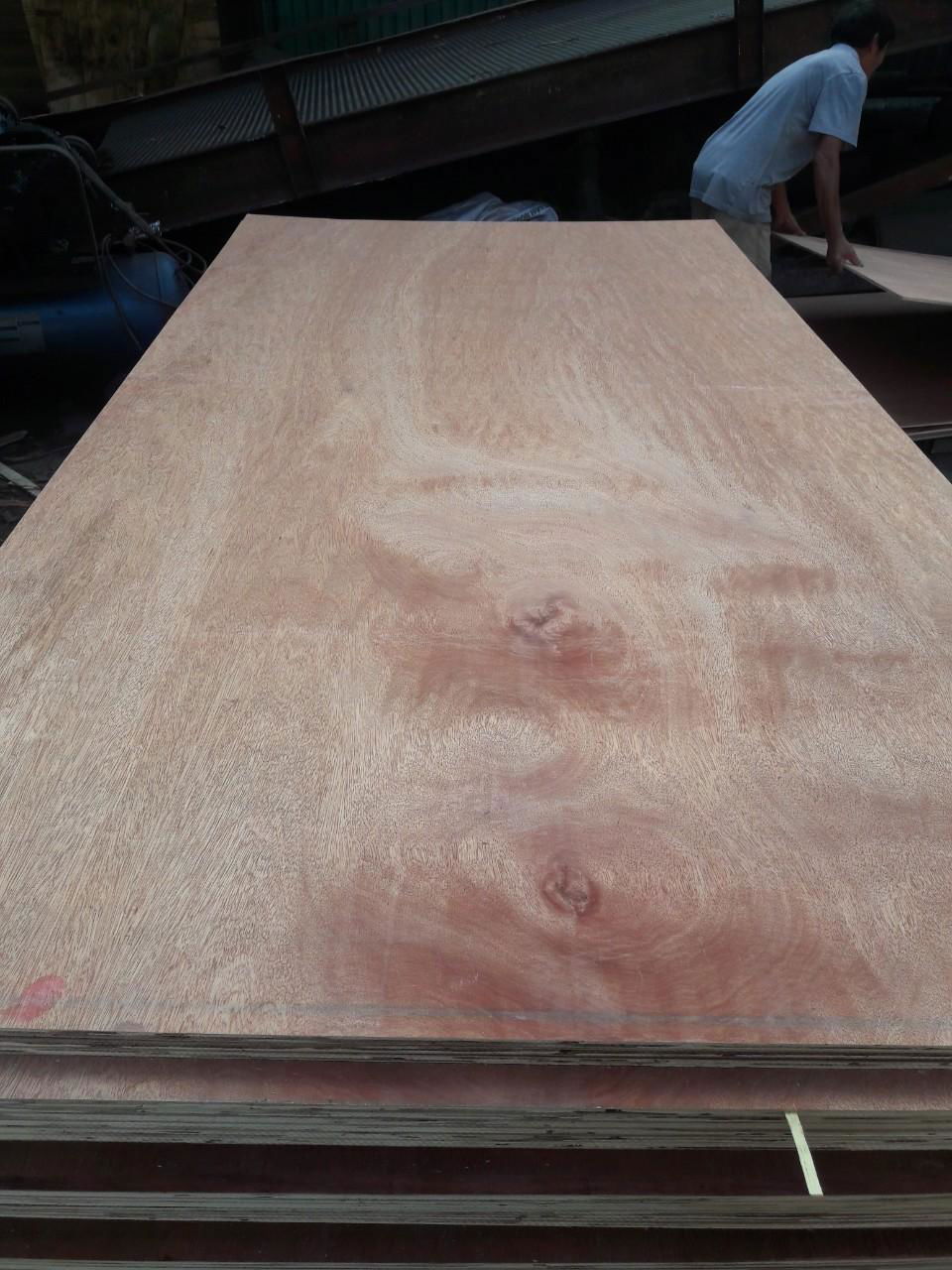 9MM package grade bintangor plywood  3