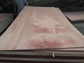 9MM package grade bintangor plywood