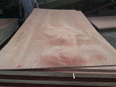 9MM package grade bintangor plywood 