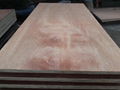 9MM package grade bintangor plywood  4