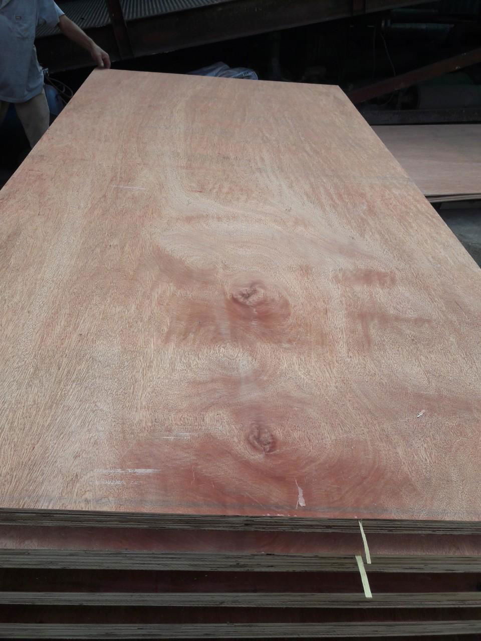 9MM package grade bintangor plywood  5