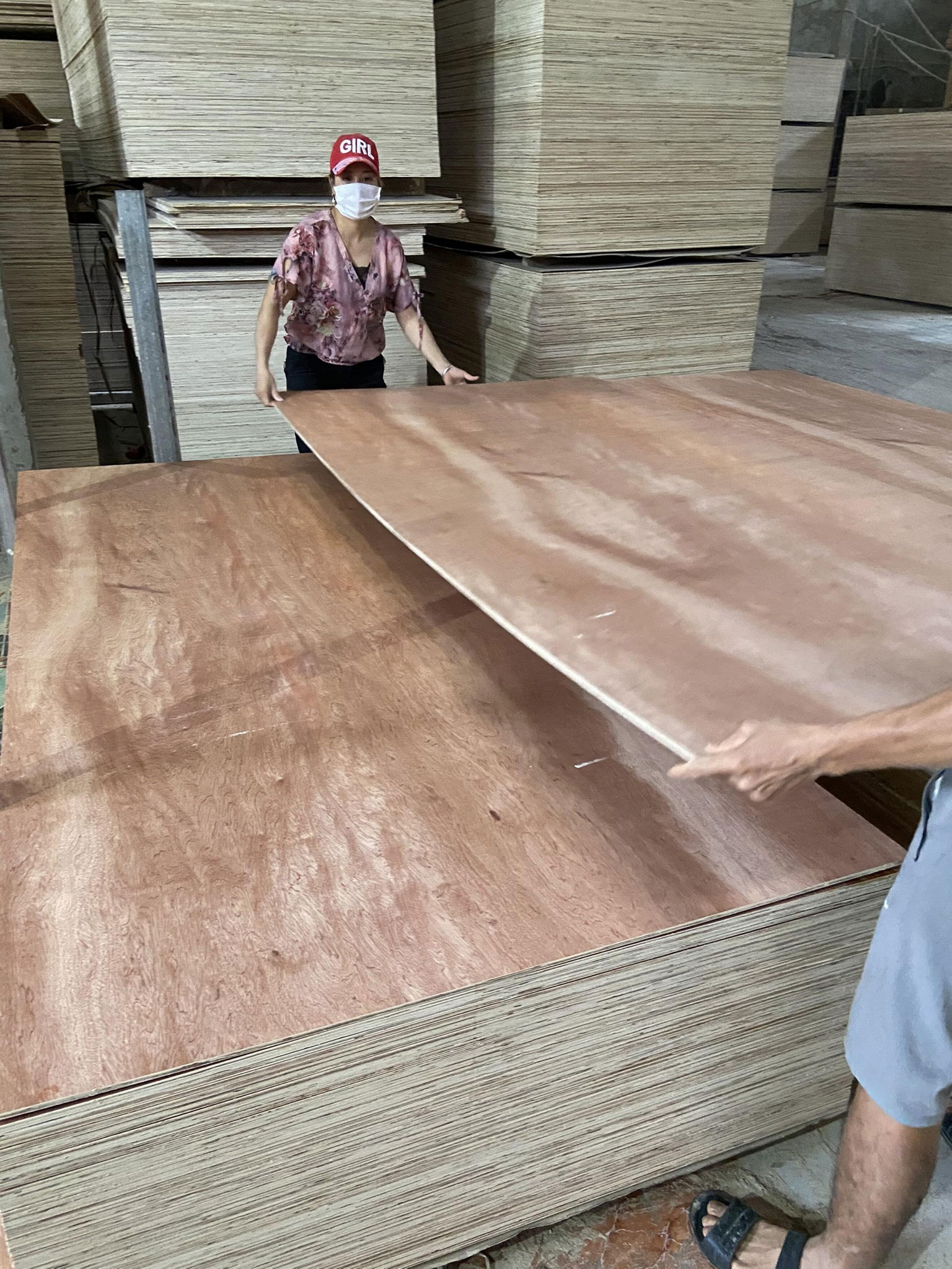 Bintangor commercial plywood for sofa making