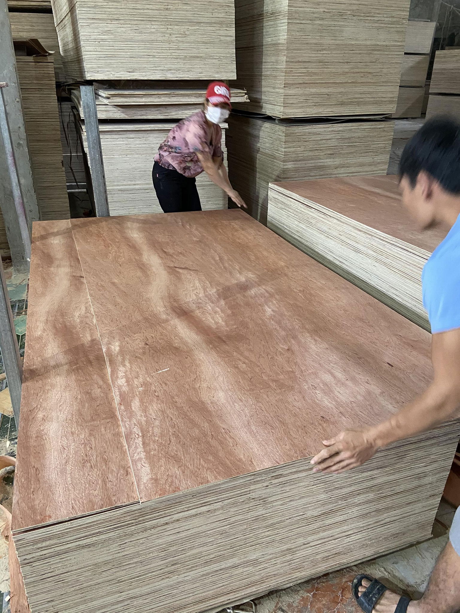 Bintangor commercial plywood for sofa making 2