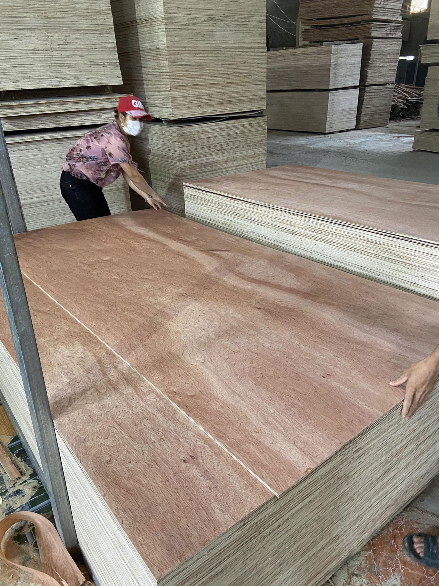 Bintangor commercial plywood for sofa making 3