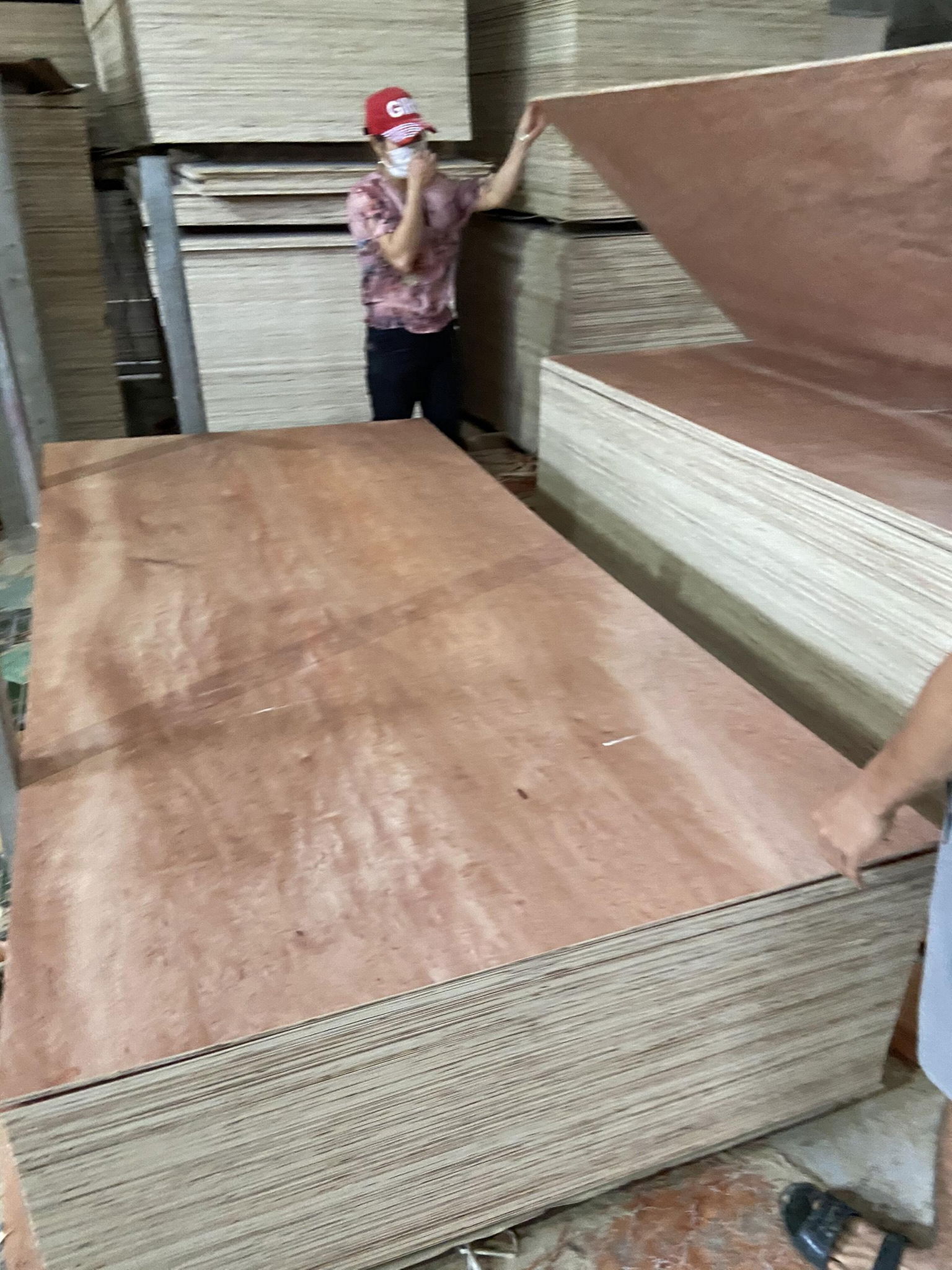 Bintangor commercial plywood for sofa making 4