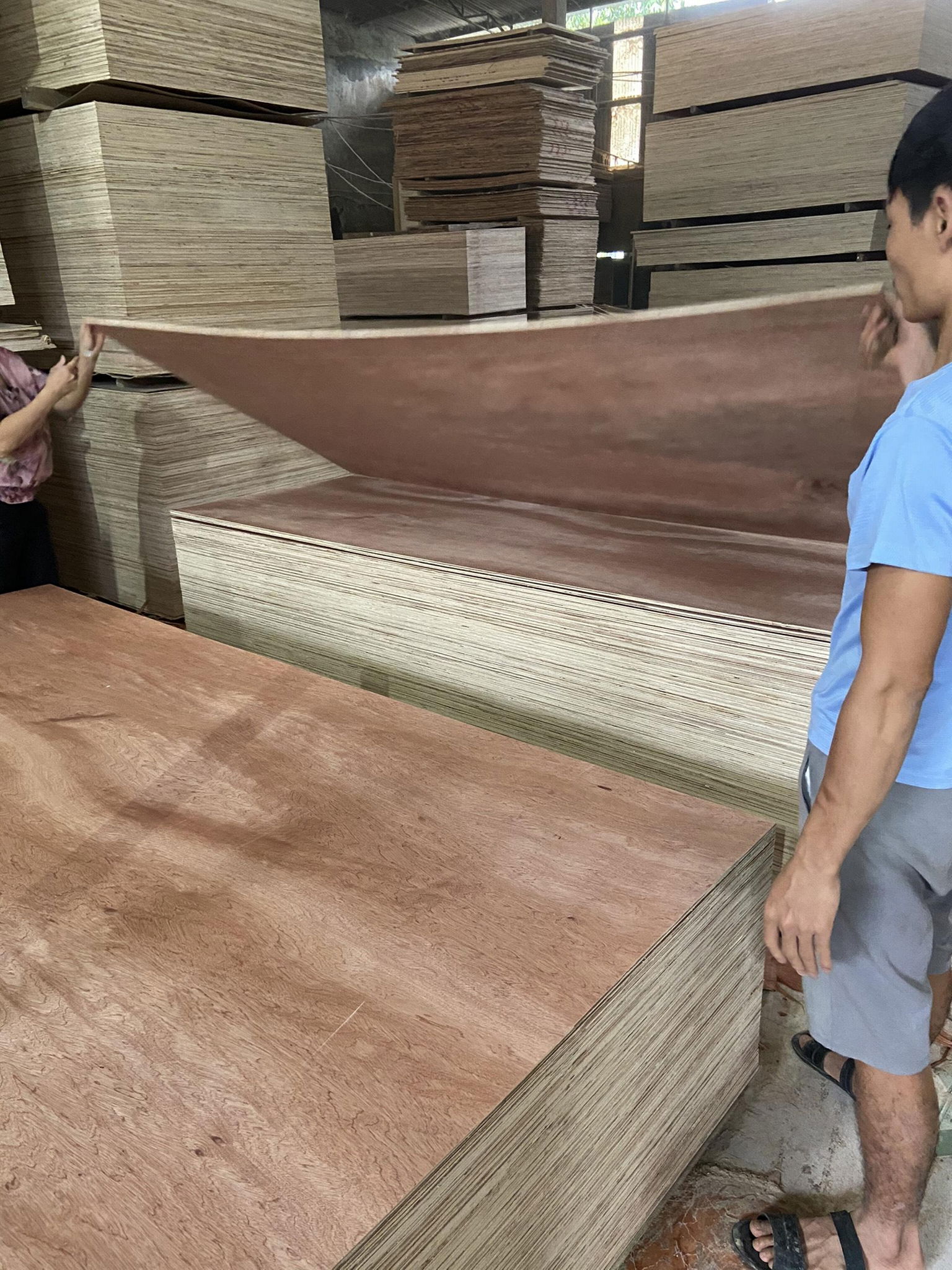 Bintangor commercial plywood for sofa making 5