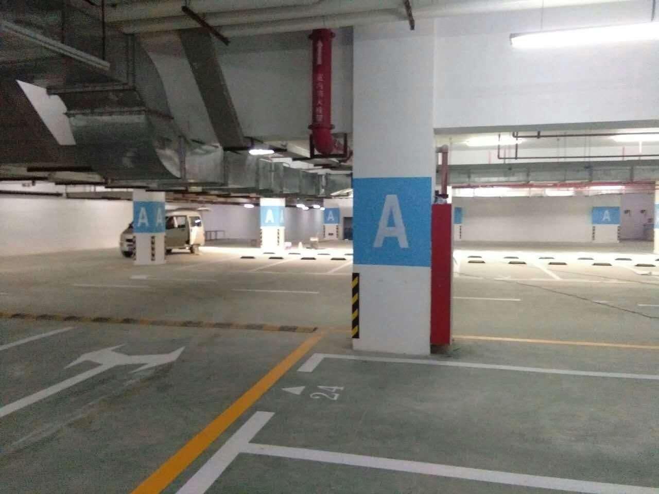 南京达尊道路地下停车场地下车库划线及墙柱面颜色分区 4