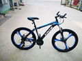 Adolescent student adult mountain bike