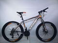 Adolescent student adult mountain bike  4