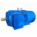 Low voltage high power squirrel cage motor 1